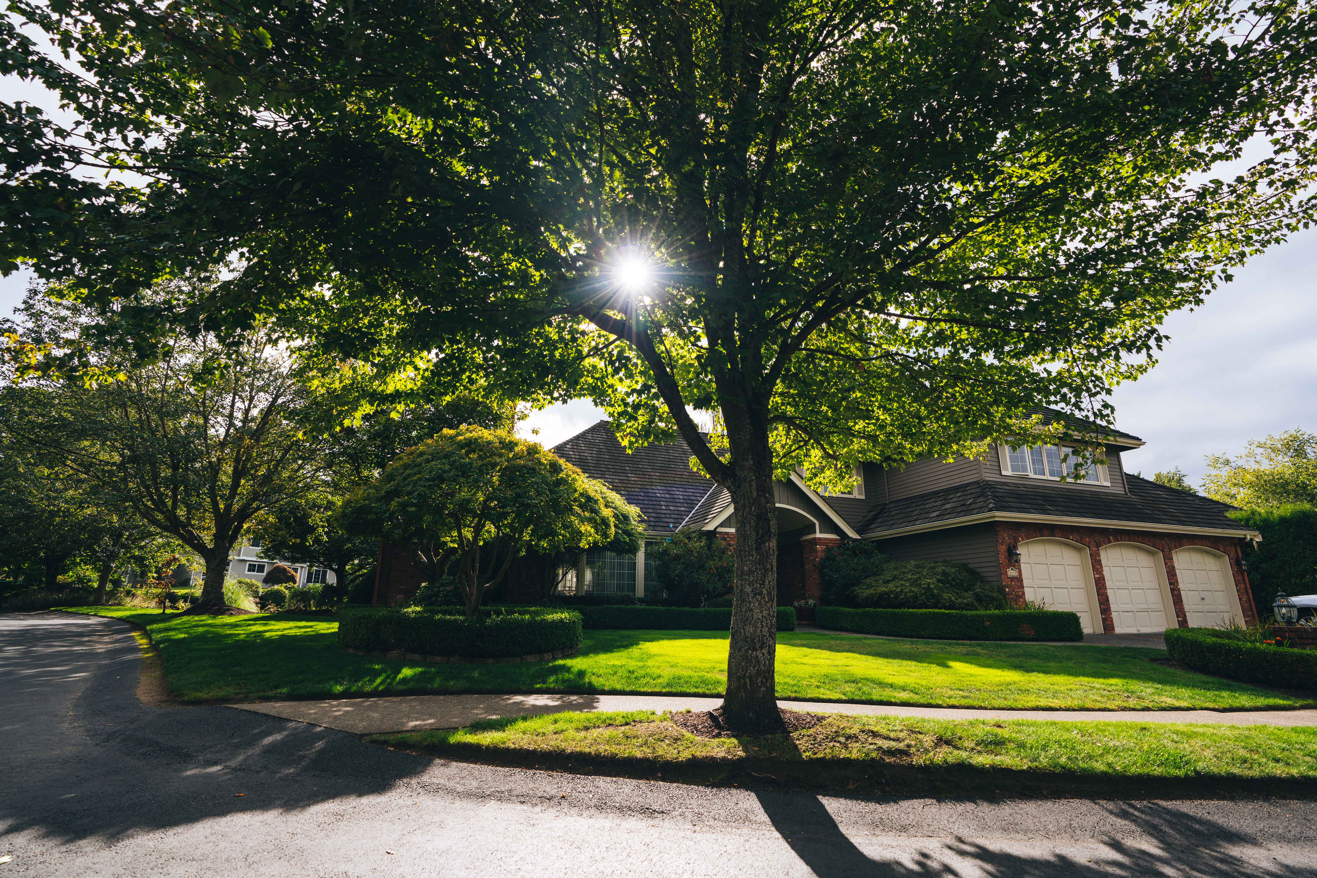 mercer-island-s-vision-statement-mercer-island-washington