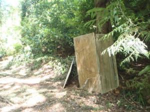 Tree protection along the access route