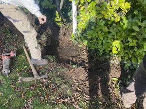 Buried at varying depths of 2-12 inches, backyard manhole covers are located and raised to allow access to the sewer main