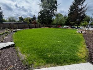 1.	new lawn area