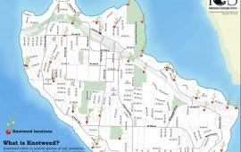 Invasive Knotweed Map