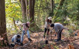 Group of people planting trees in the forest