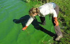 swim beach monitoring