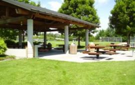 Aubrey Davis Park Picnic Area