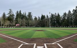 View from behind home plate on a baseball diamond featuring green and brown synthetic turf