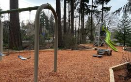 A neighborhood playground features swings and a 20' climbing structure with two bright green slides