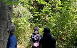3 people walking down a trail