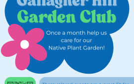 Colorful poster describing the Gallagher Hill Garden Club, with blue and pink flowers.
