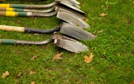 A group of shovel layed on in a line on a grass patch