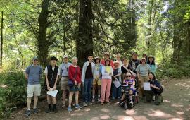 A group of people standing on a gravel path in front of some large trees.