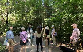 A group of people standing in a circle in the woods,  looking at a speaker. 