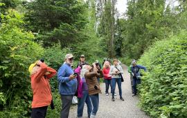 People standing on a trail, using binoculars to look up at the sky. 