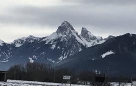 Visiting a field near Champellant in the foothills of the Alps near the Swiss border.