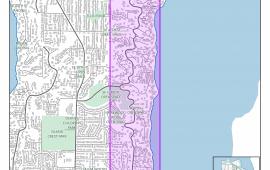 Ivy Ring Priority Map