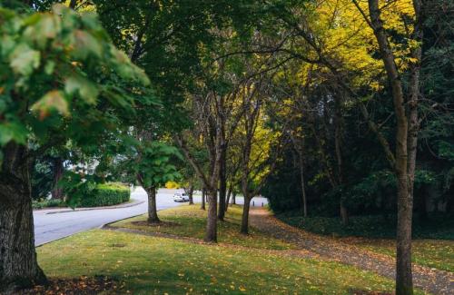 Mercer Island Neighborhood