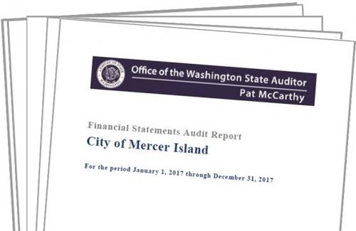 2017 Financial Statements Audit Report
