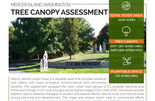 A study fact sheet that includes a photo of an urban park with public art and graphics with tree canopy assessment data