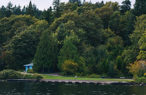 A grassy beach on a suburban island as seen from the water
