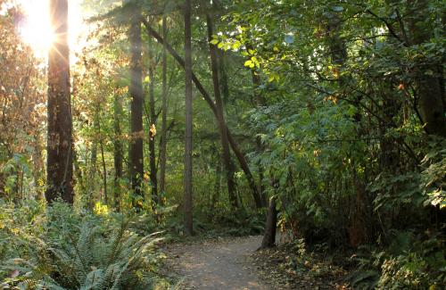 scenic pioneer park