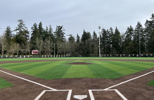View from behind home plate on a baseball diamond featuring green and brown synthetic turf