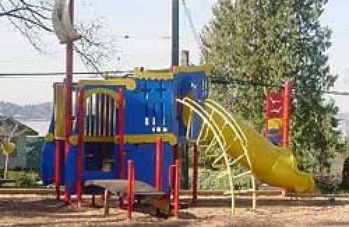 Roanoke Play Structure