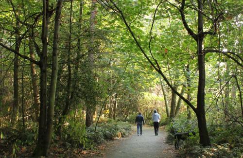 Two people walk on a forested trail while sun peeks through the trees.