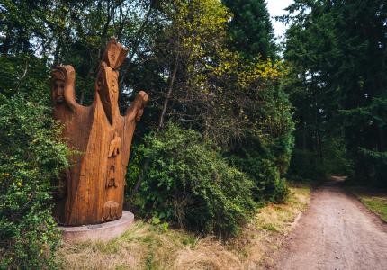 Wood Sculpture on the path in Pioneer Park