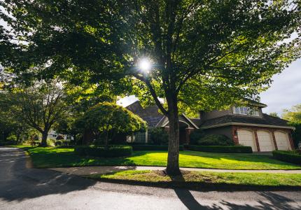 MI Neighborhood