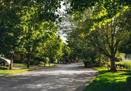 Mercer Island Neighborhood
