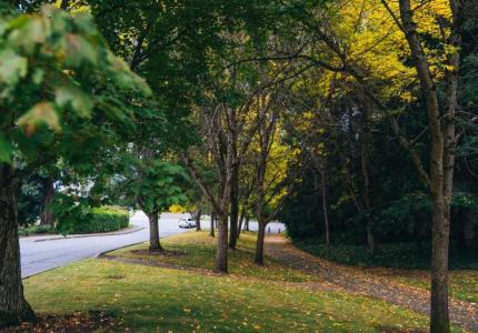 Mercer Island Neighborhood