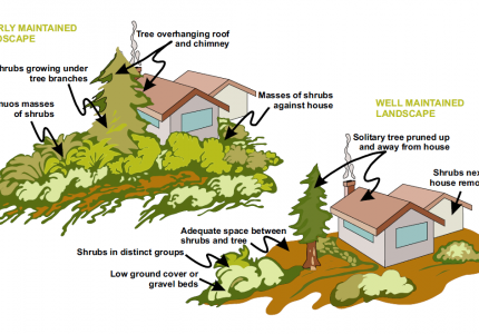 Wildfire Safety: well landscaped homes vs. poorly landscaped homes