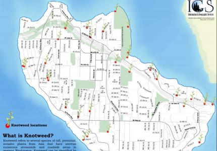 Invasive Knotweed Map