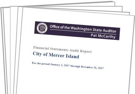 2017 Financial Statements Audit Report