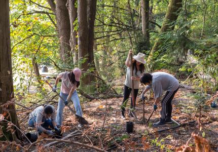 Group of people planting trees in the forest