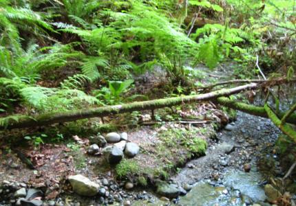 Engstrom Open Space