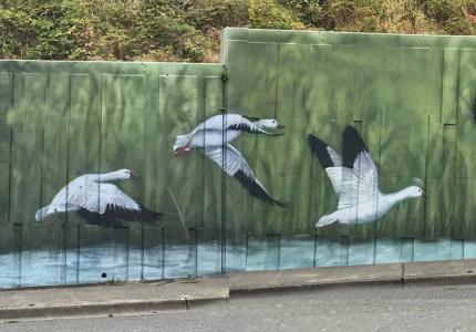 Mural