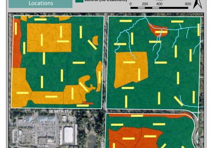 A map illustrating forest management areas and sample plot locations in a large urban park