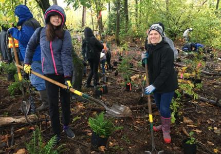 volunteers
