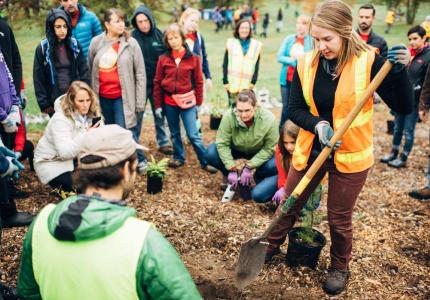 Arbor Day 2018
