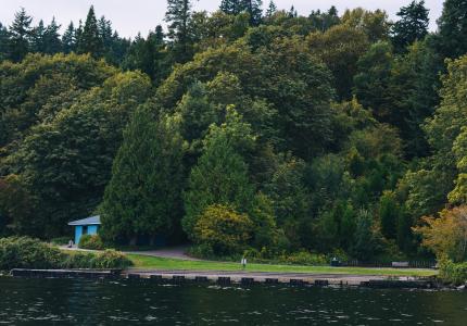 A grassy beach on a suburban island as seen from the water