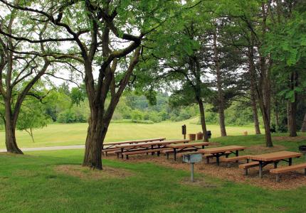 Luther Burbank Park Picnic Area B