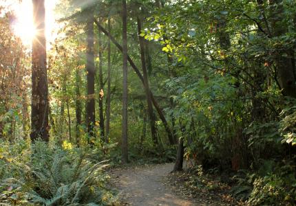scenic pioneer park