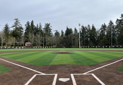View from behind home plate on a baseball diamond featuring green and brown synthetic turf