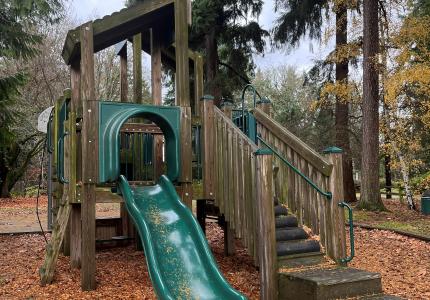 A treehouse playground structure with a green slide sits in a neighborhood park.