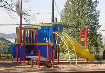 Roanoke Play Structure