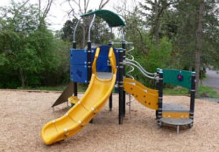Secret Park Play Structure