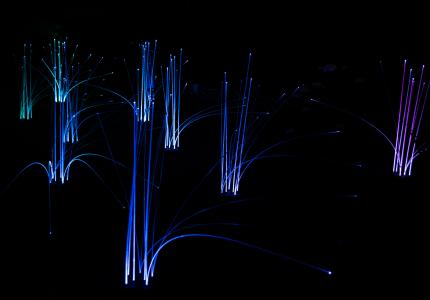 A field of fiber-optic grass lights glows blue against a dark night backdrop