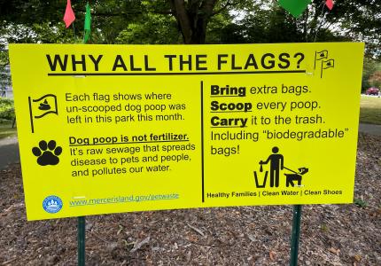 Why the Flags Pet Waste Campaign