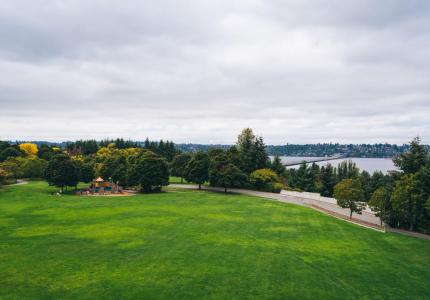 Aubrey Davis Park landscape.