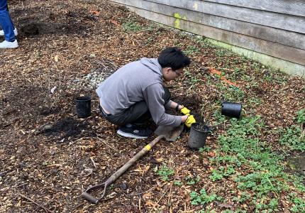 Person kneeling on the ground pulling weeds